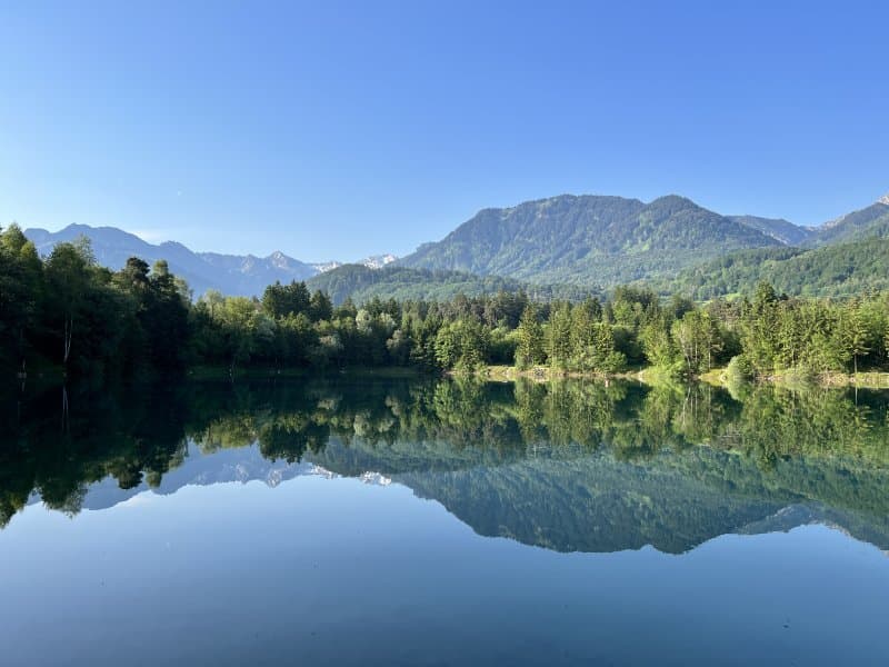 Galinasee